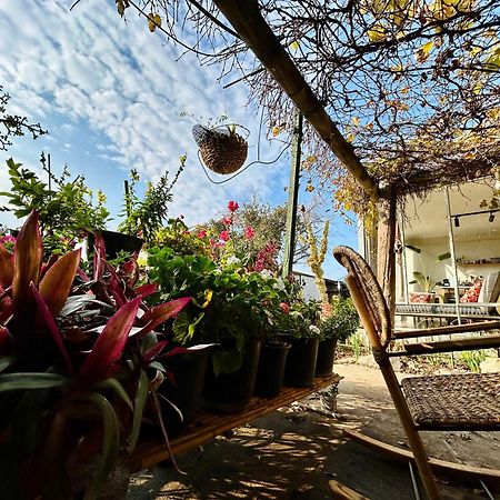בקתות האס ואטינגר Vila Geva Carmel Exterior foto