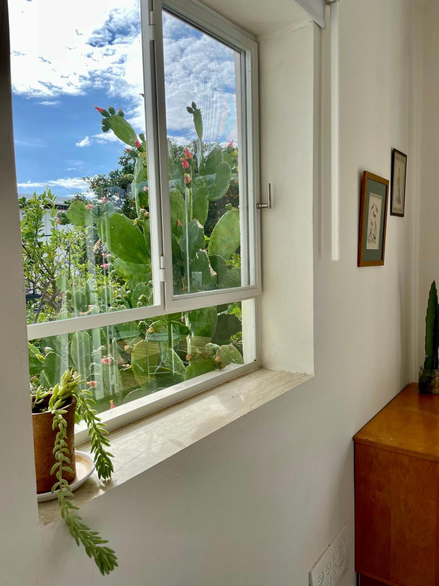 בקתות האס ואטינגר Vila Geva Carmel Exterior foto